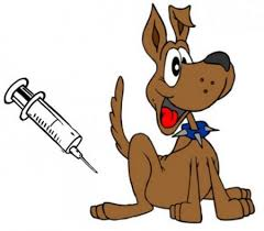 očkování psů 2023