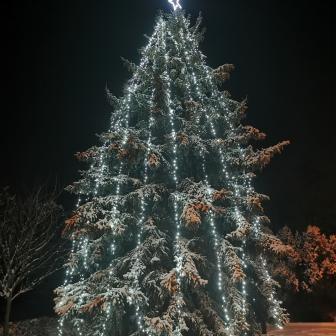 Rozsvícení vánočního stromu v Modleticích